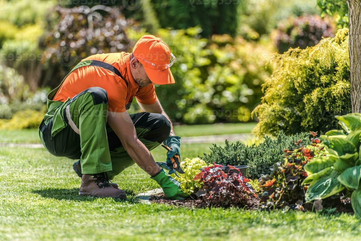 trabajo jardinero texas